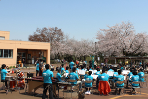 Image of"NUT Sakura Sansaku Matsuri Held"2