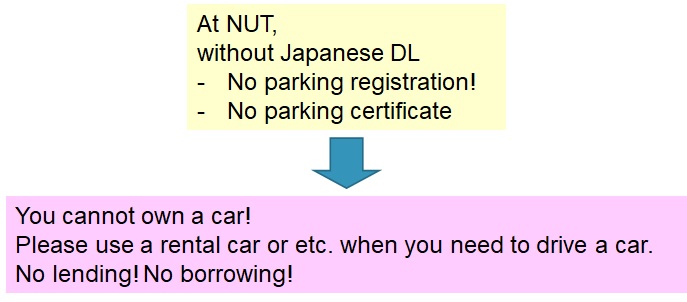 International Driving Permits (IDPs)
