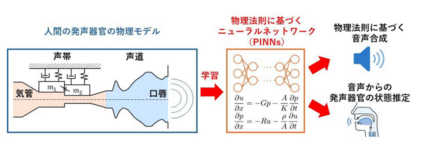「声を出す仕組み」を学習したAIによる音声合成手法を開発 －ニューラルネットワークにより音声の生成過程を再現－ 画像