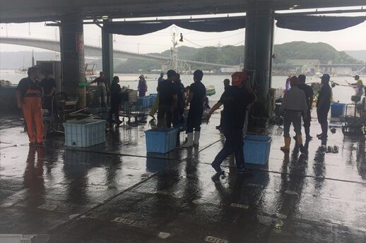 漁港視察の様子（2nd ISLife）