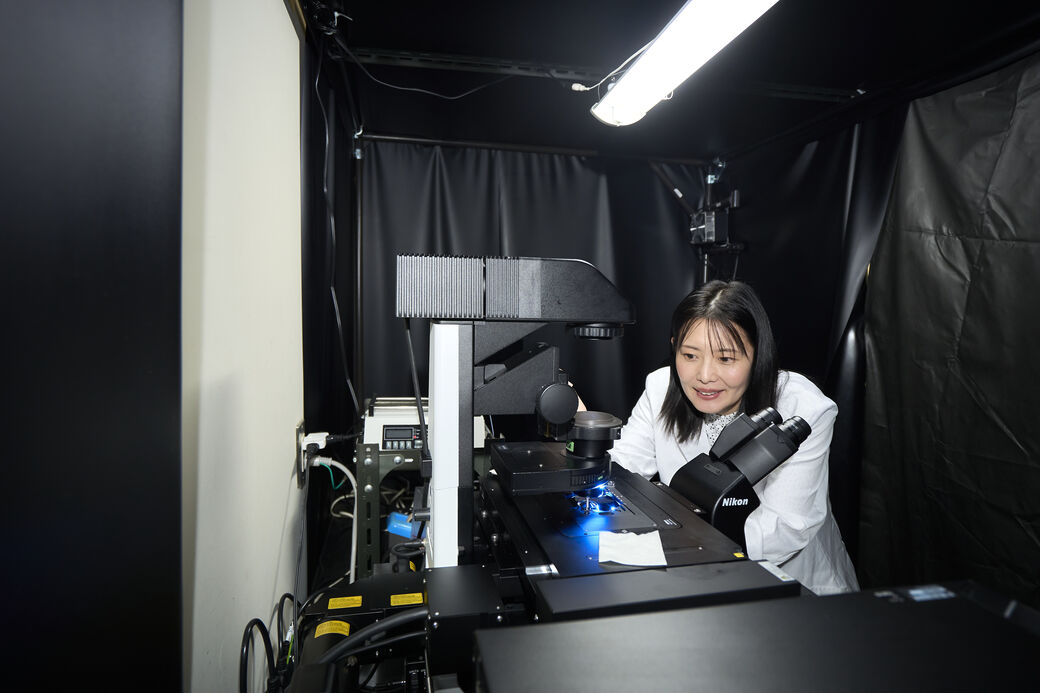 物質生物系 准教授 藤原 郁子